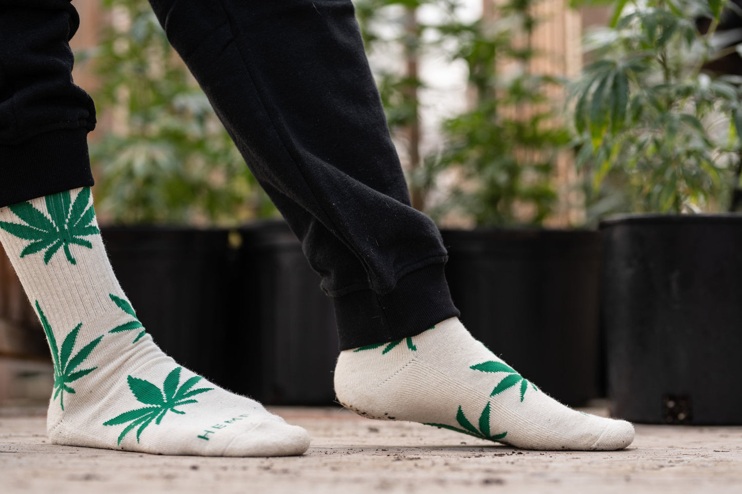 HEMP LUCKY LEAF CREW SOCKS - HEMPZOO