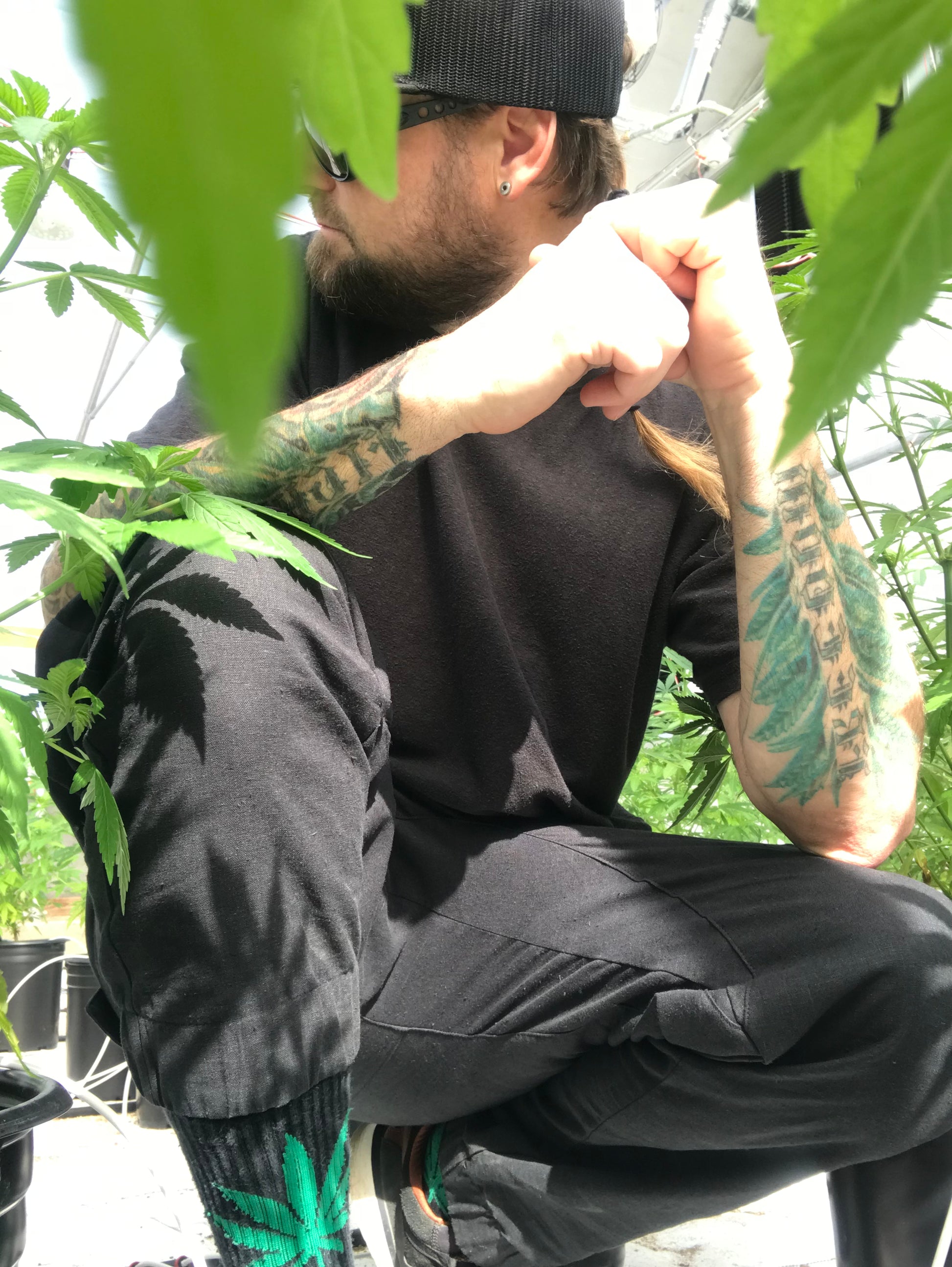 HEMP TREK PANTS - HEMPZOO